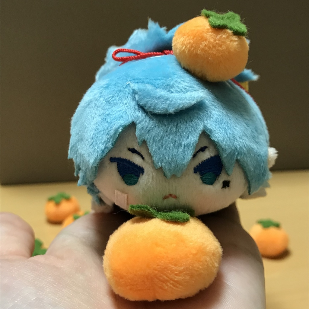 もちさよの柿 ( ゴムつき )