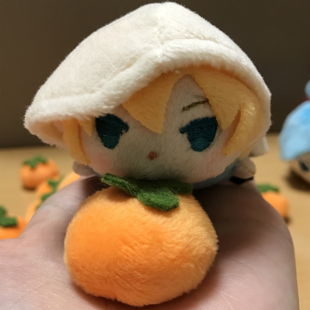 もちさよの柿 ( ゴムなし )