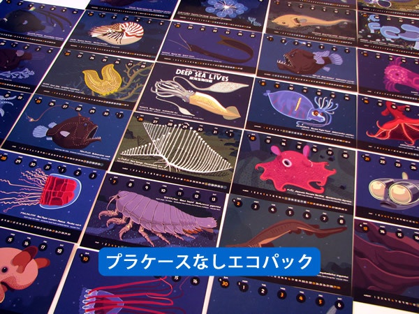 17深海生物図鑑カレンダー プラケースなしエコパック ぼくのすいぞくかんpixiv支店 Booth
