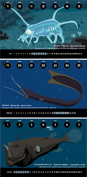 2017深海生物図鑑カレンダー(プラケースなしエコパック)