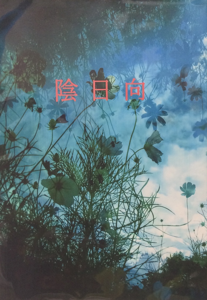 陰日向