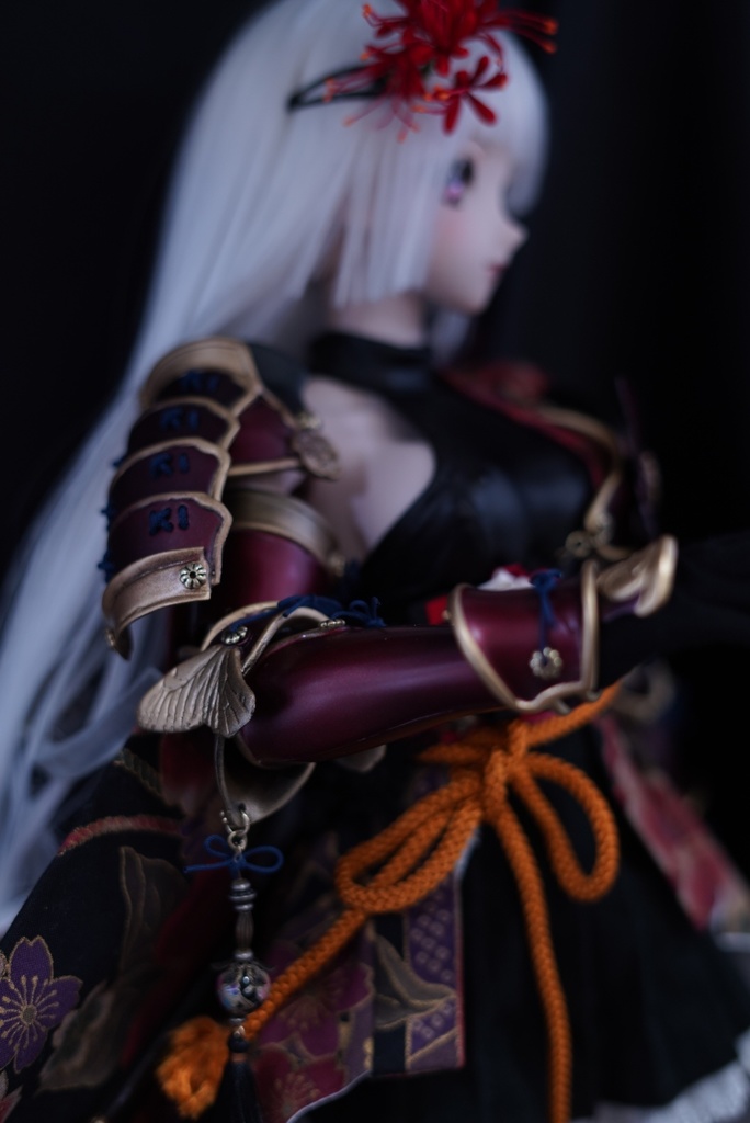 和装甲冑 艶冶(えんや)