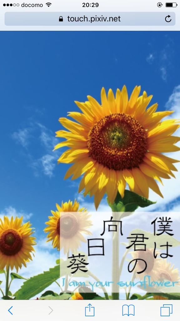 君は僕の向日葵