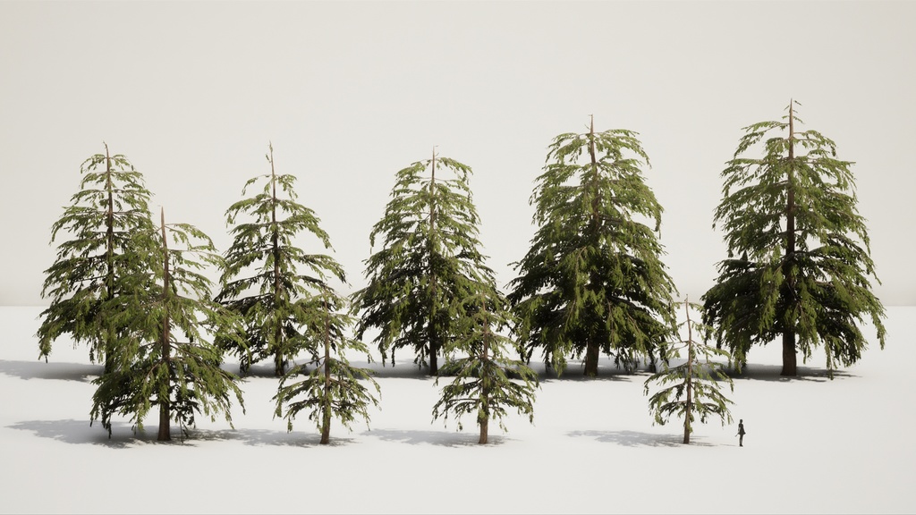 9 Realistic Himalayan Cedarの木パック Low Poly 3D model