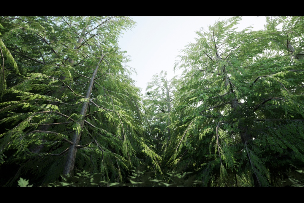 9 Realistic Himalayan Cedarの木パック Low Poly 3D model