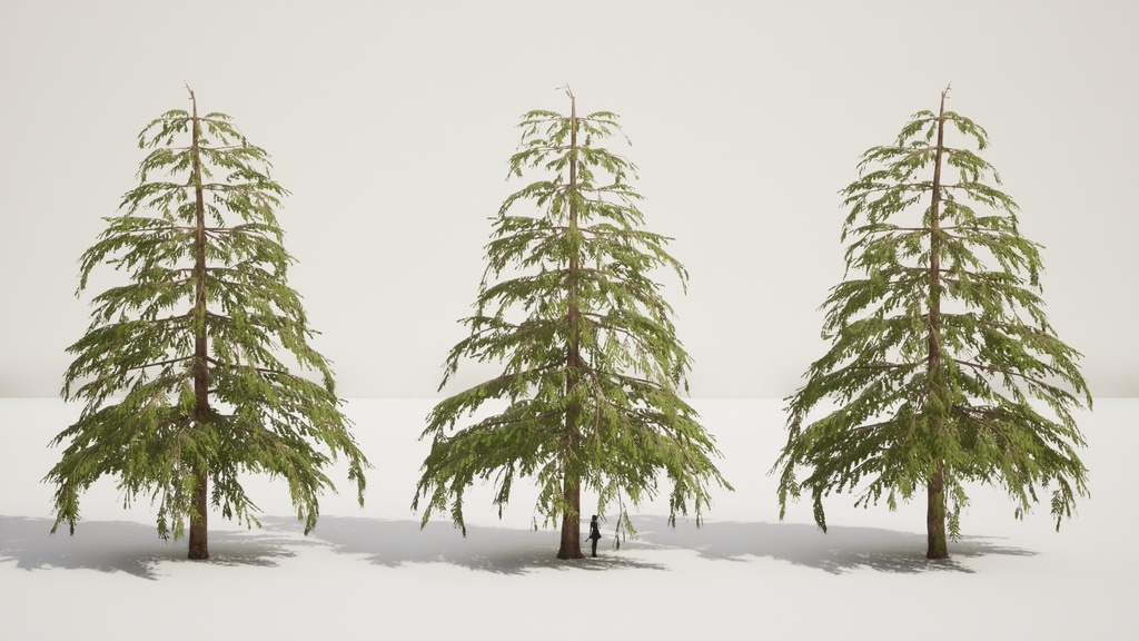 9 Realistic Himalayan Cedarの木パック Low Poly 3D model
