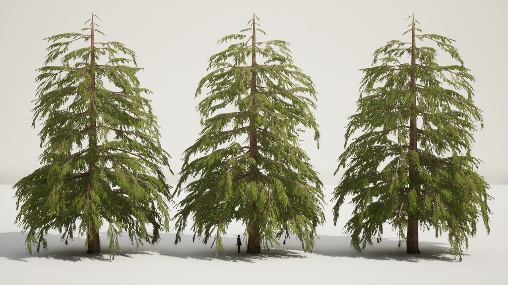 9 Realistic Himalayan Cedarの木パック Low Poly 3D model