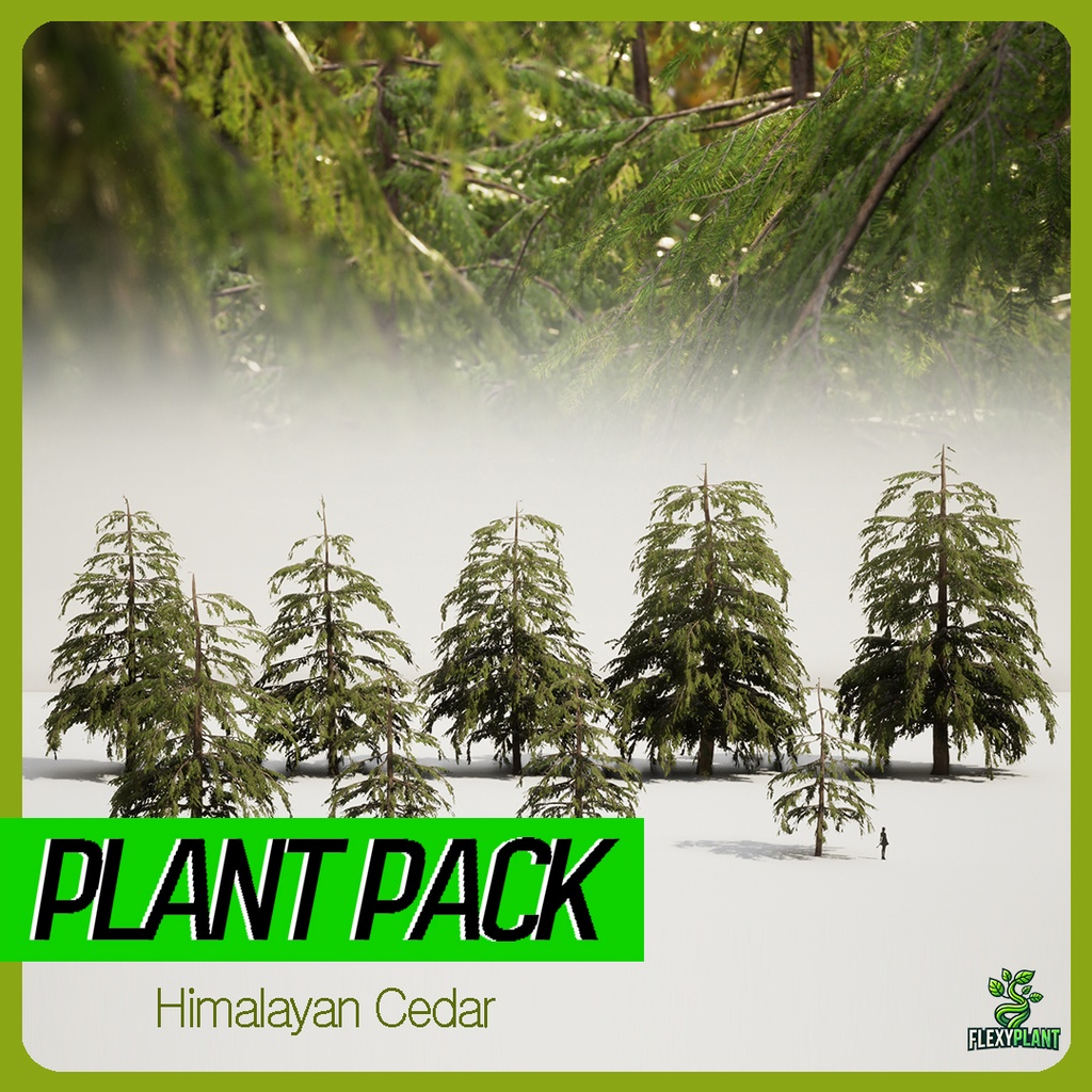 9 Realistic Himalayan Cedarの木パック Low Poly 3D model