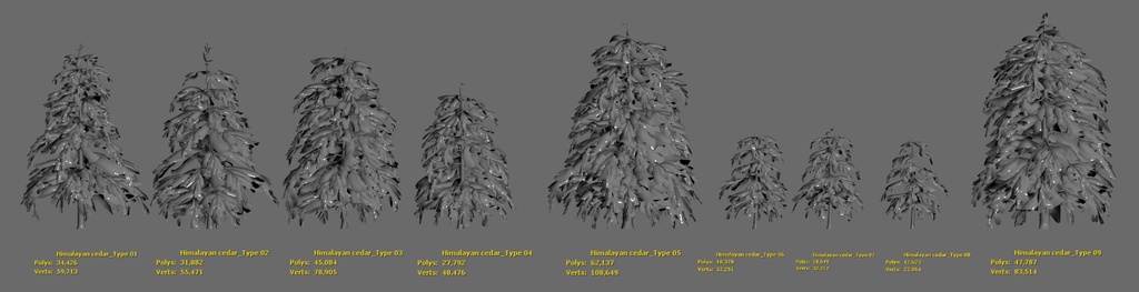 9 Realistic Himalayan Cedarの木パック Low Poly 3D model