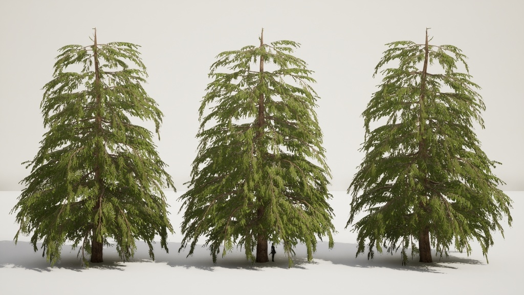 9 Realistic Himalayan Cedarの木パック Low Poly 3D model
