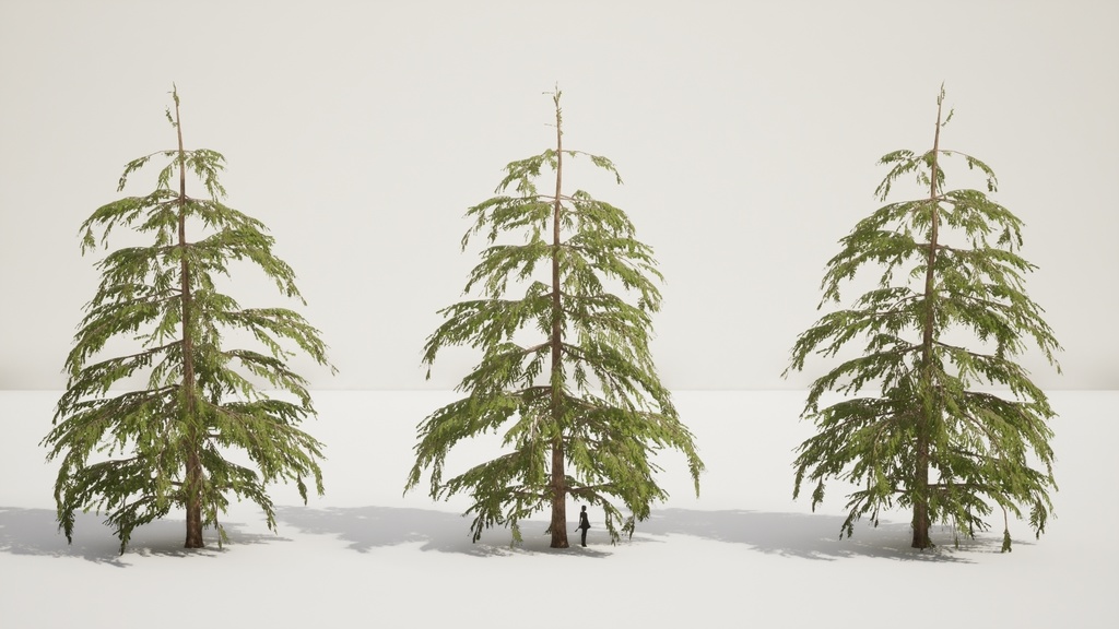 9 Realistic Himalayan Cedarの木パック Low Poly 3D model