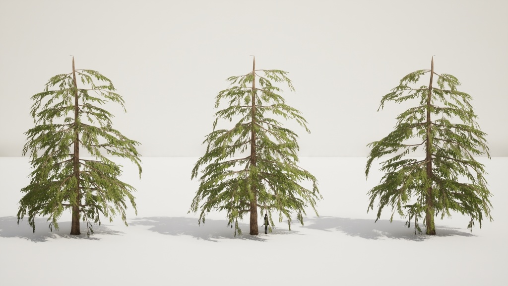 9 Realistic Himalayan Cedarの木パック Low Poly 3D model