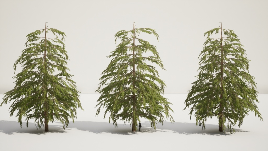 9 Realistic Himalayan Cedarの木パック Low Poly 3D model