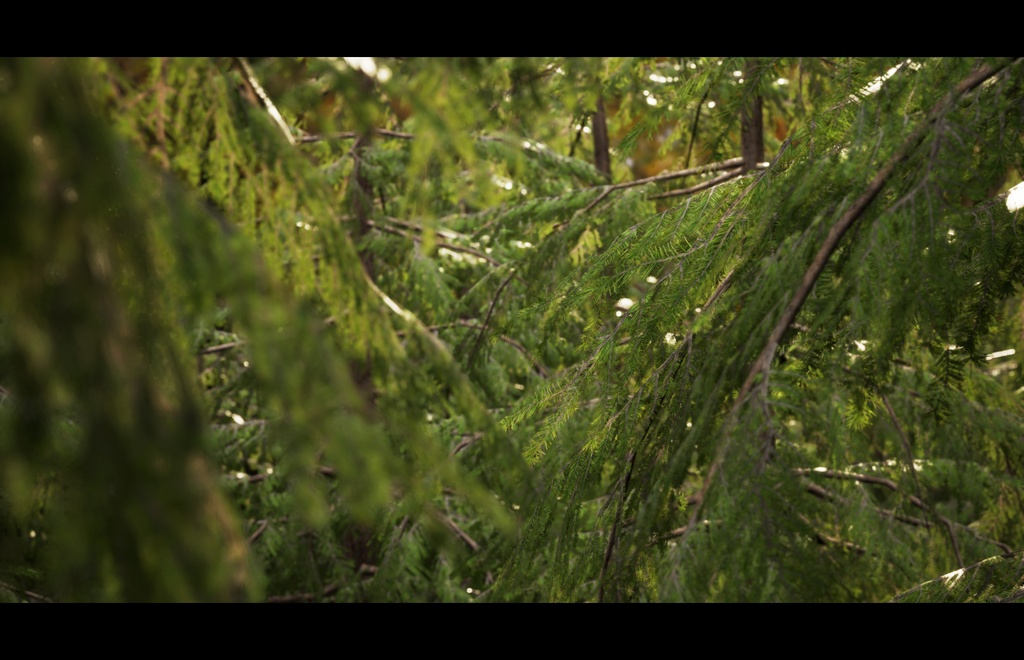 9 Realistic Himalayan Cedarの木パック Low Poly 3D model