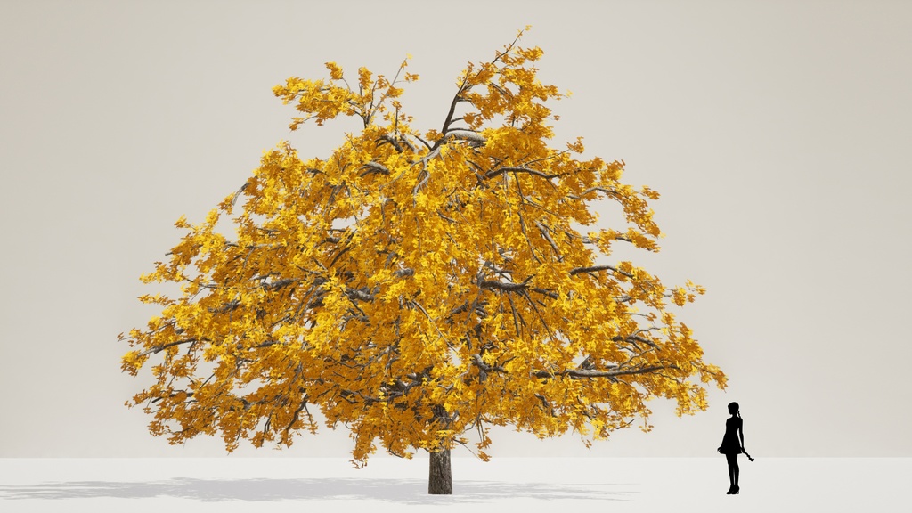 5本のリアルなイチョウ3Dデータパック