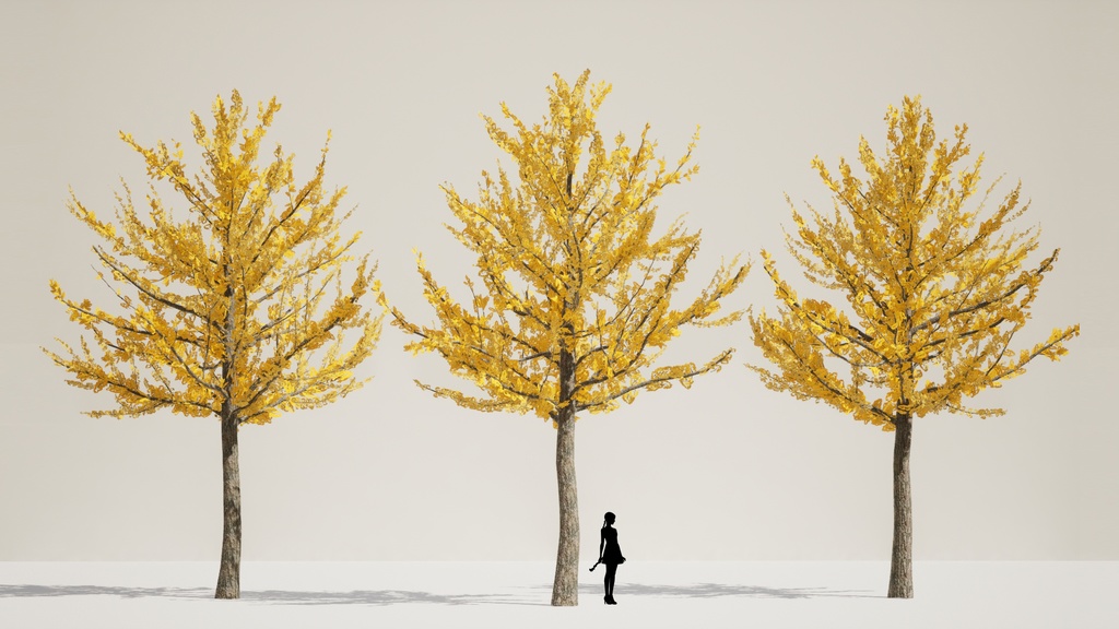 5本のリアルなイチョウ3Dデータパック