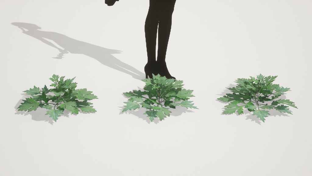 リアルな韓国産ヨモギ5種 植物 3Dモデル