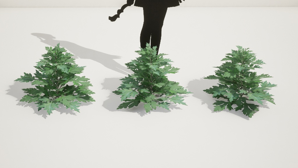 リアルな韓国産ヨモギ5種 植物 3Dモデル