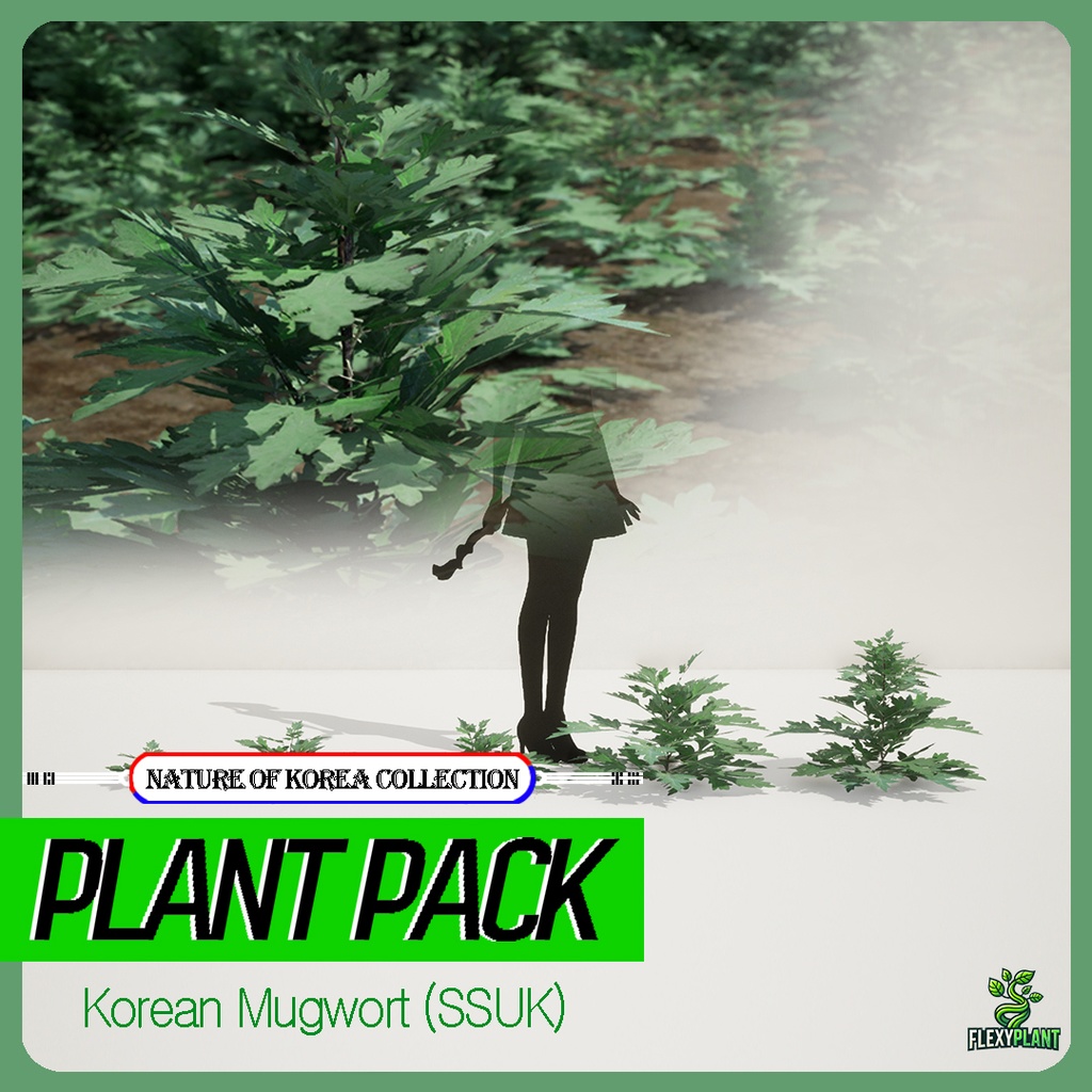 リアルな韓国産ヨモギ5種 植物 3Dモデル