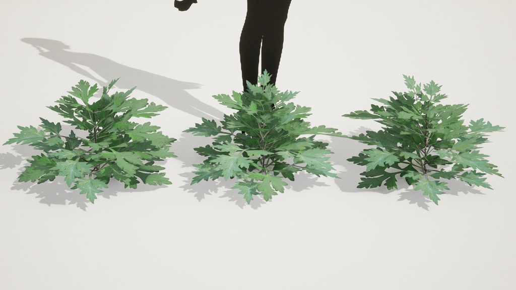 リアルな韓国産ヨモギ5種 植物 3Dモデル