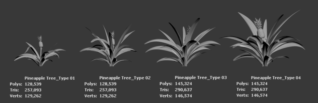 リアルなパイナップルの木 3Dモデル データパック