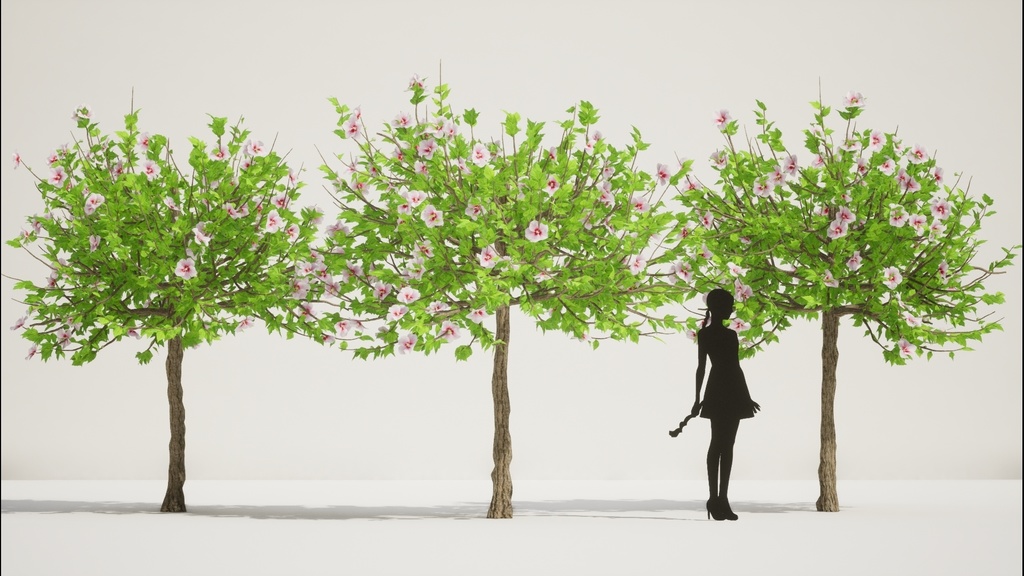 韓国ムグンファ(無窮花) 3Dパック