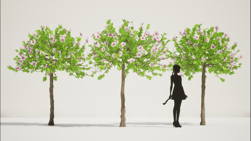 韓国ムグンファ(無窮花) 3Dパック