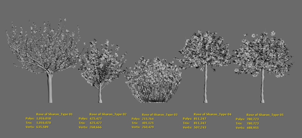 韓国ムグンファ(無窮花) 3Dパック