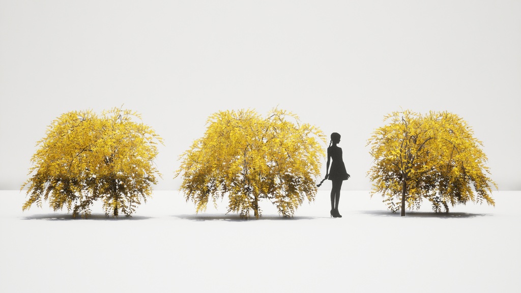 韓国の春, レンギョウ 3D Pack