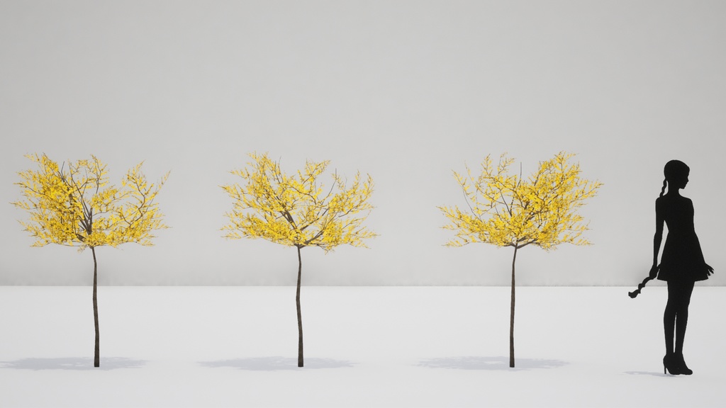 韓国の春, レンギョウ 3D Pack