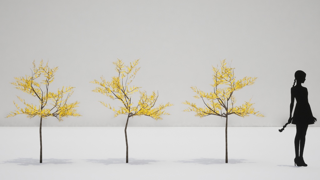 韓国の春, レンギョウ 3D Pack