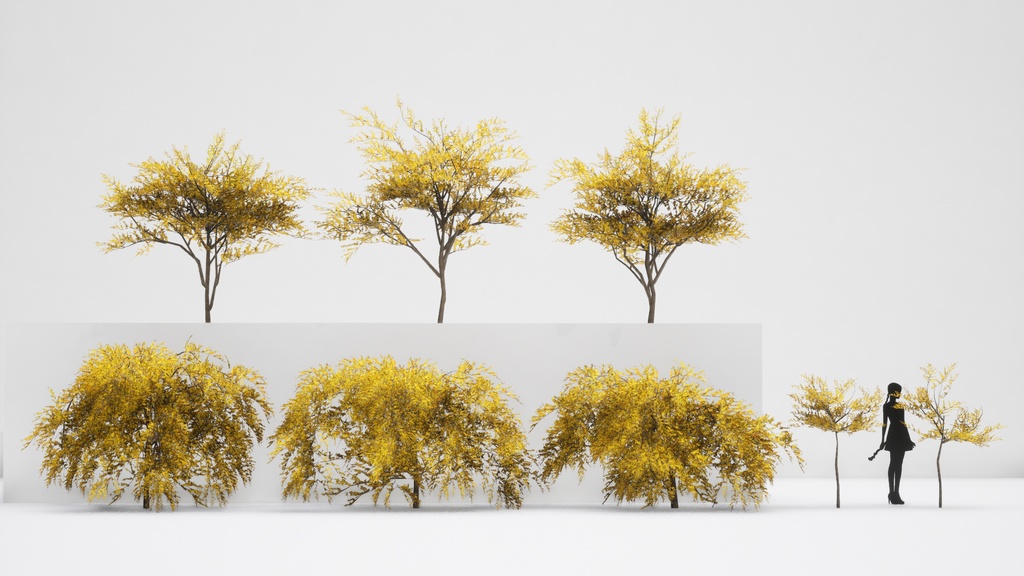 韓国の春, レンギョウ 3D Pack