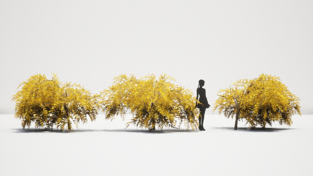 韓国の春, レンギョウ 3D Pack