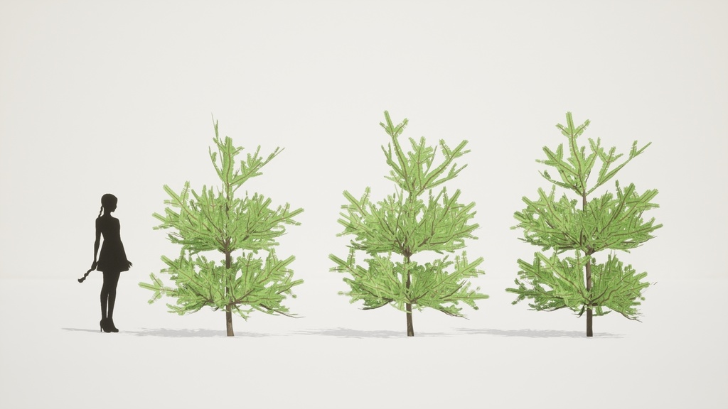 自然のクリスマスツリー、チョウセンシラベの3D Modelパック