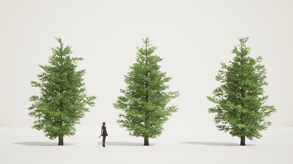 自然のクリスマスツリー、チョウセンシラベの3D Modelパック