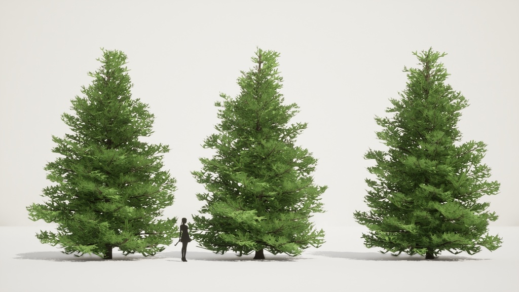 自然のクリスマスツリー、チョウセンシラベの3D Modelパック