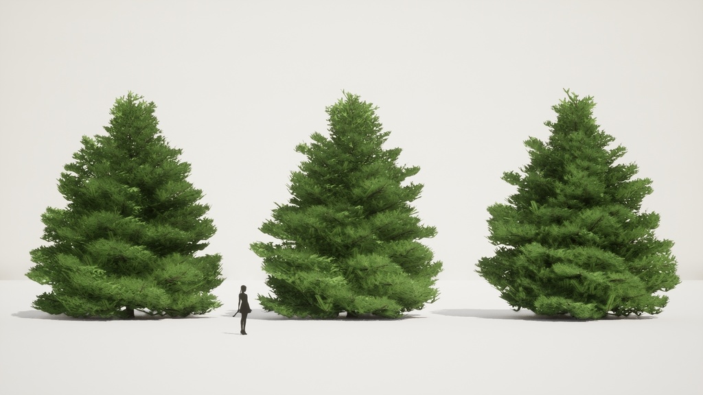 自然のクリスマスツリー、チョウセンシラベの3D Modelパック