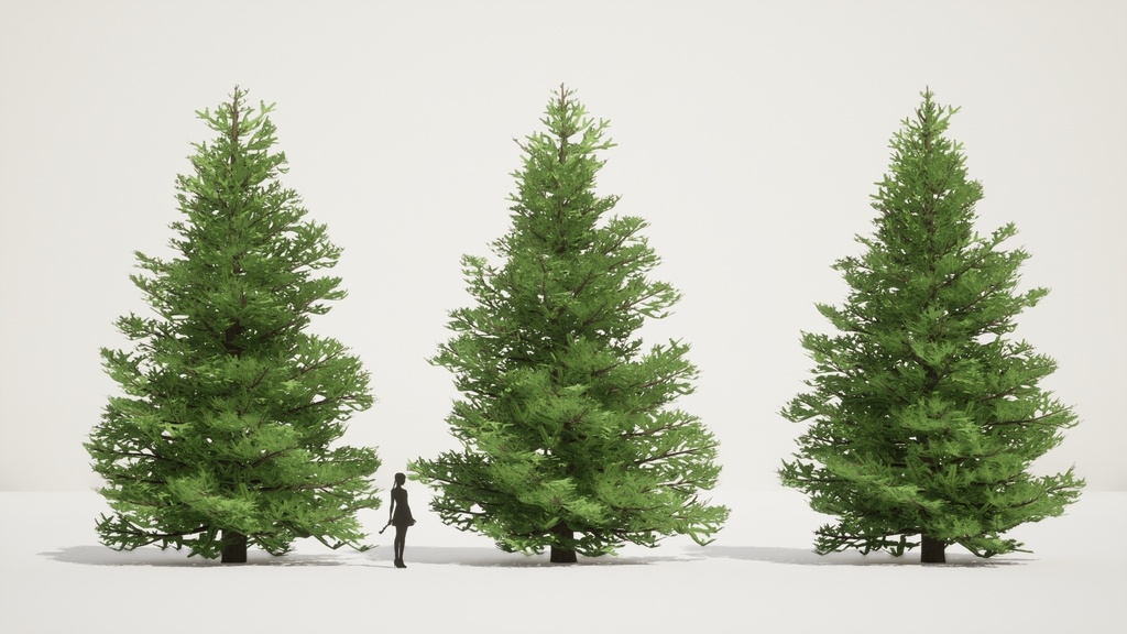 自然のクリスマスツリー、チョウセンシラベの3D Modelパック