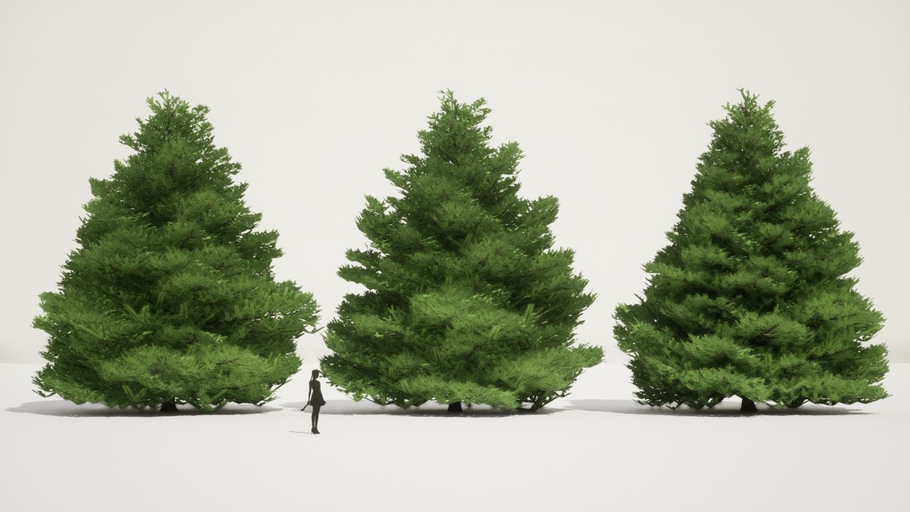 自然のクリスマスツリー、チョウセンシラベの3D Modelパック