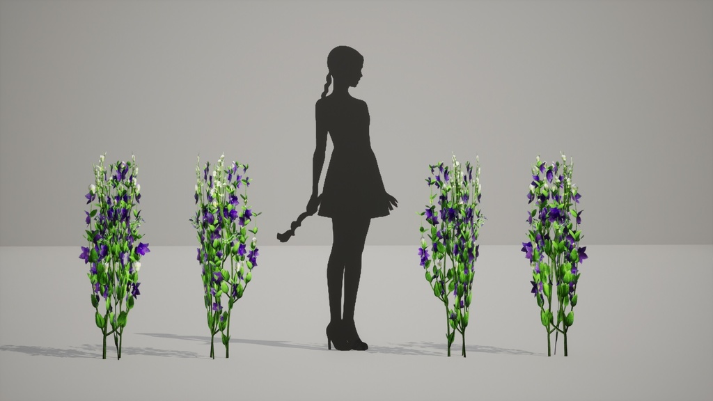 美しい韓国の風景をお部屋に! この「プラティコドン」