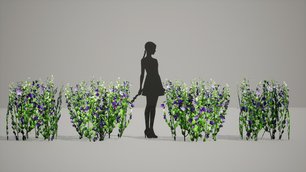 美しい韓国の風景をお部屋に! この「プラティコドン」