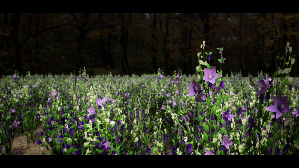 美しい韓国の風景をお部屋に! この「プラティコドン」