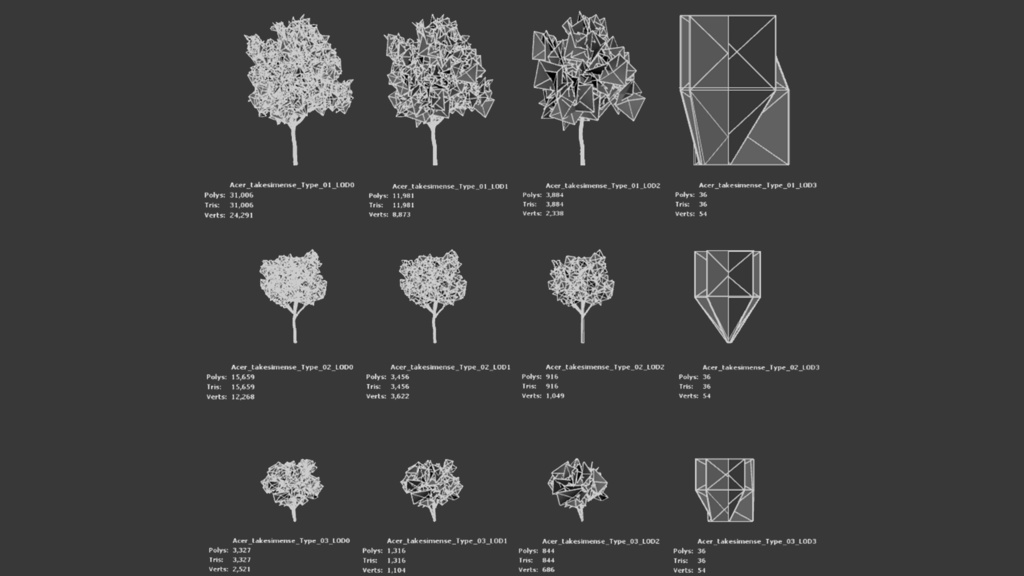 5種類のユニークな韓国カエデの木 II エイサー・タケシメンセ II LOD