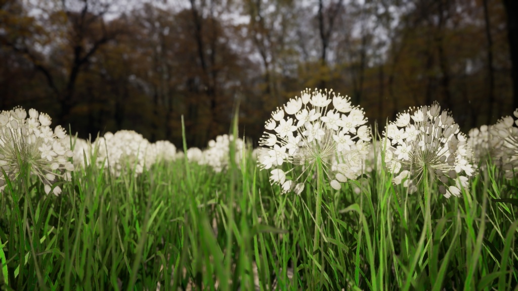 5種類のヨーロッパ野の花、Allium Denudatum II LOD