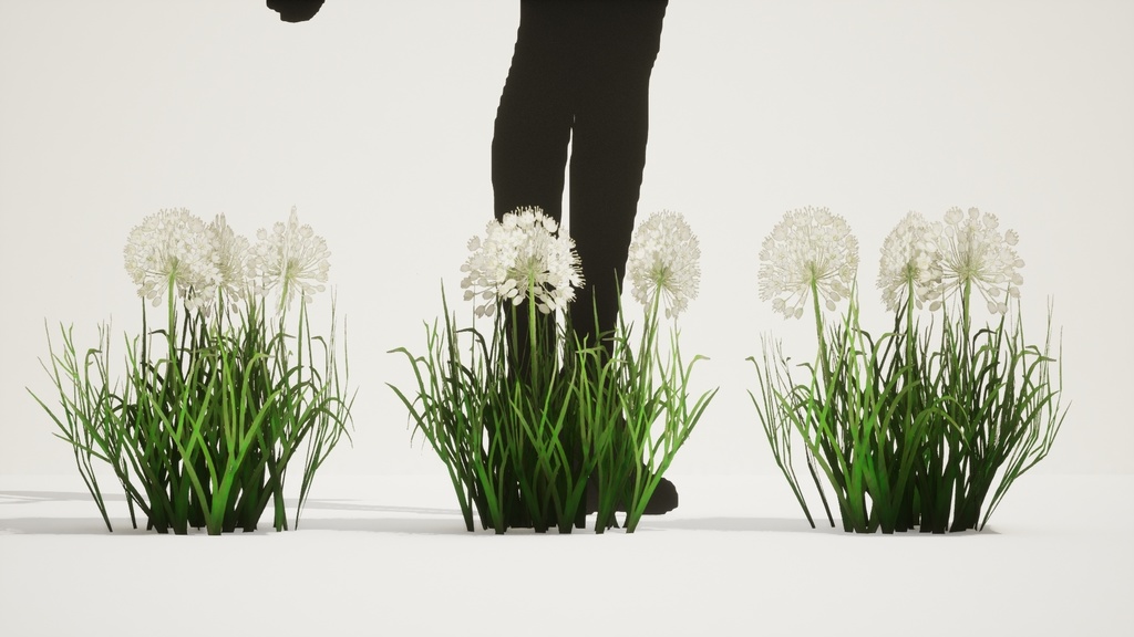 5種類のヨーロッパ野の花、Allium Denudatum II LOD