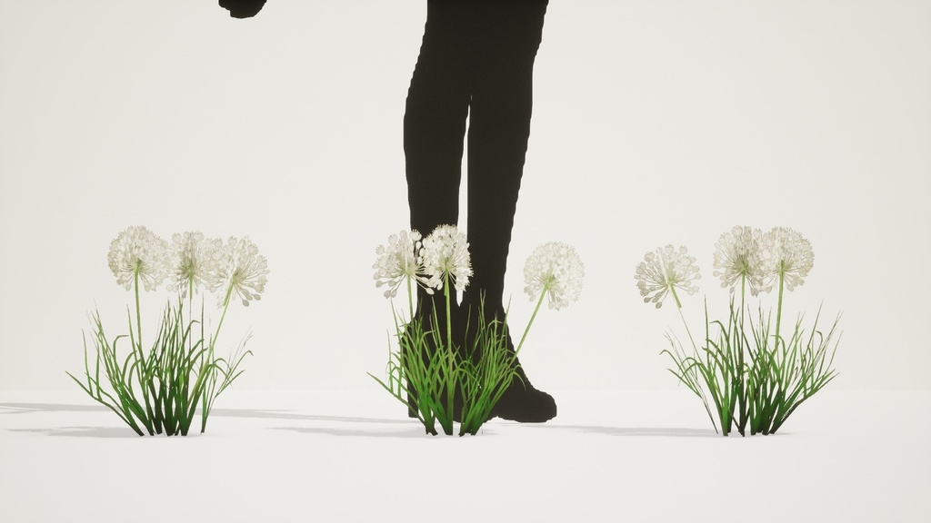 5種類のヨーロッパ野の花、Allium Denudatum II LOD