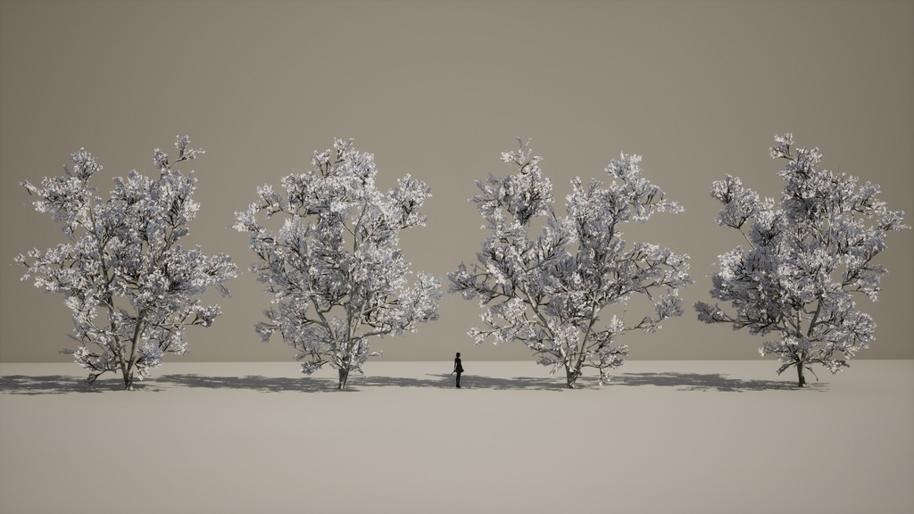 4本 コブシ(辛夷)の木 3Dモデル II ゲーム用最適化 II LOD