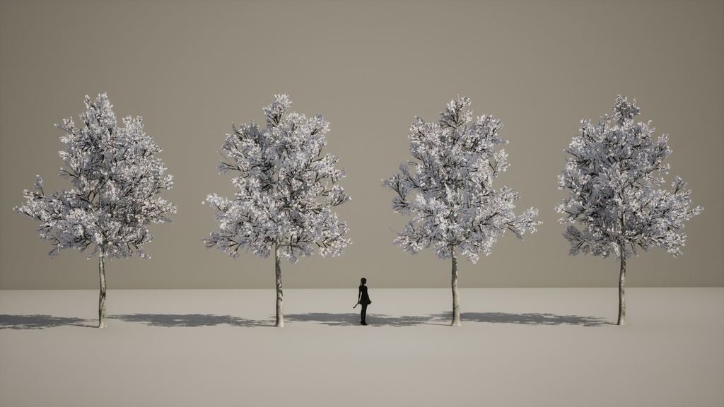 4本 コブシ(辛夷)の木 3Dモデル II ゲーム用最適化 II LOD