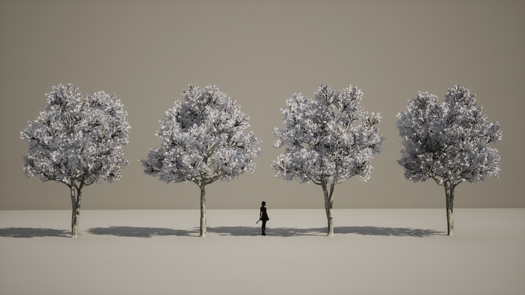 4本 コブシ(辛夷)の木 3Dモデル II ゲーム用最適化 II LOD