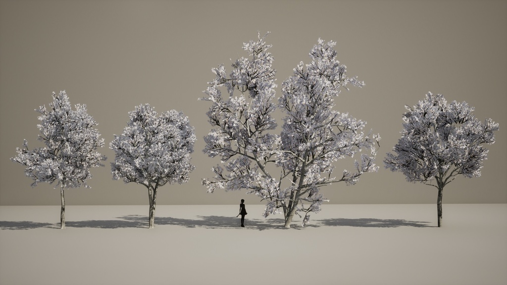 4本 コブシ(辛夷)の木 3Dモデル II ゲーム用最適化 II LOD